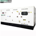 Hot Sale Diesel Generator Preis 160 kW 200kva Stille Dieselgenerator